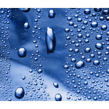 Blueberry Menthol Concentrate