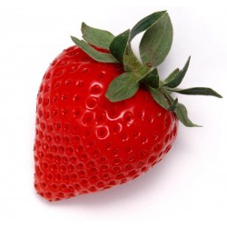 Strawberry Shake n Vape 90ml