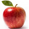 Apple Concentrate
