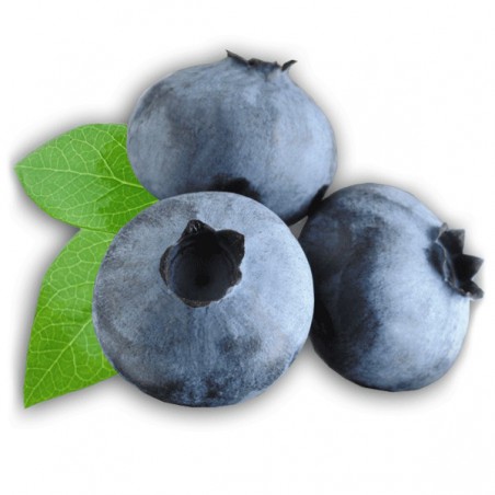 Blueberry Shake n Vape 90ml Blueberry Shake n Vape 90ml