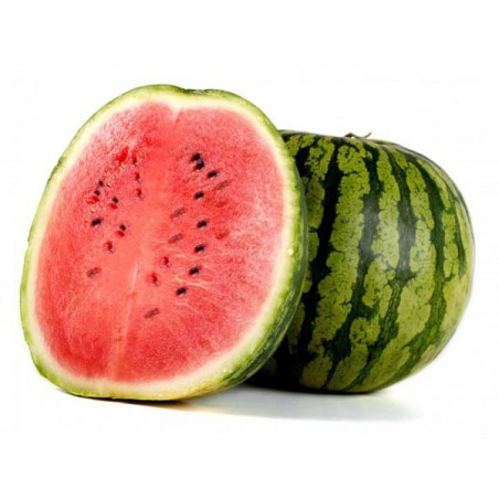 Watermelon Shake n Vape 90ml