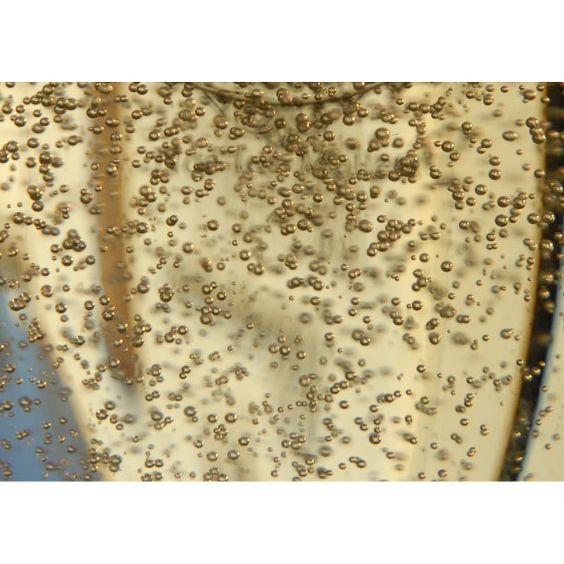 Champus Fresh Shake n Vape 90ml