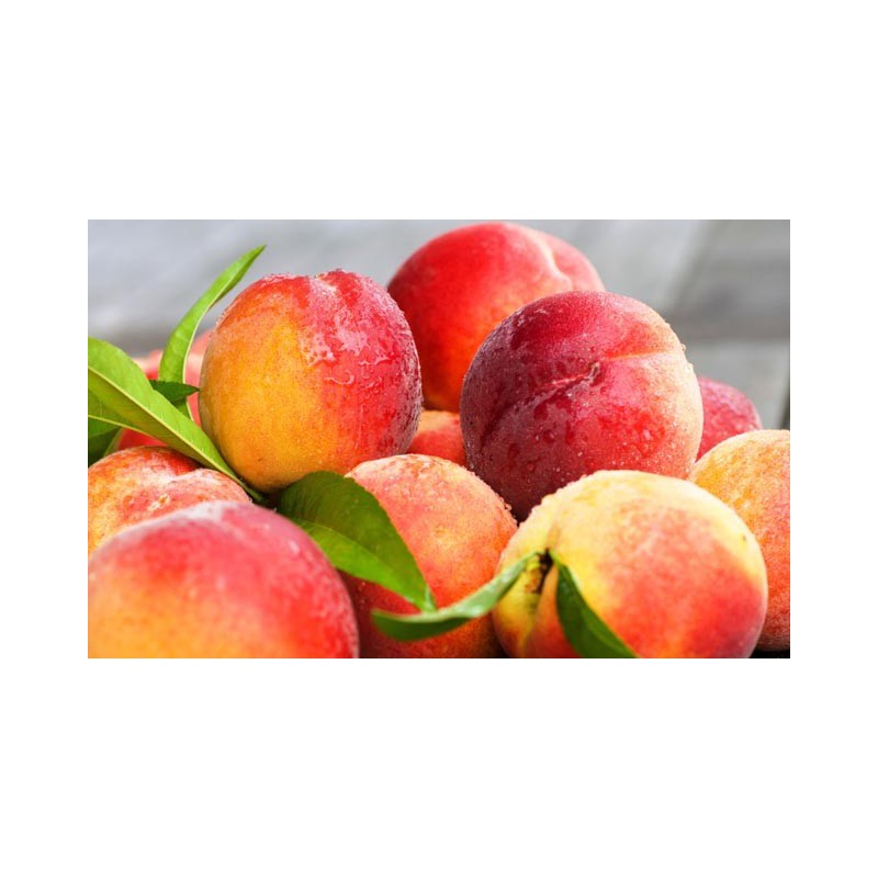 Peach Shake n Vape 30ml