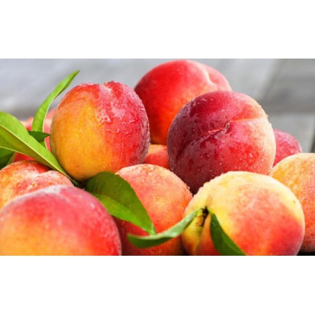 Peach Shake n Vape 30ml