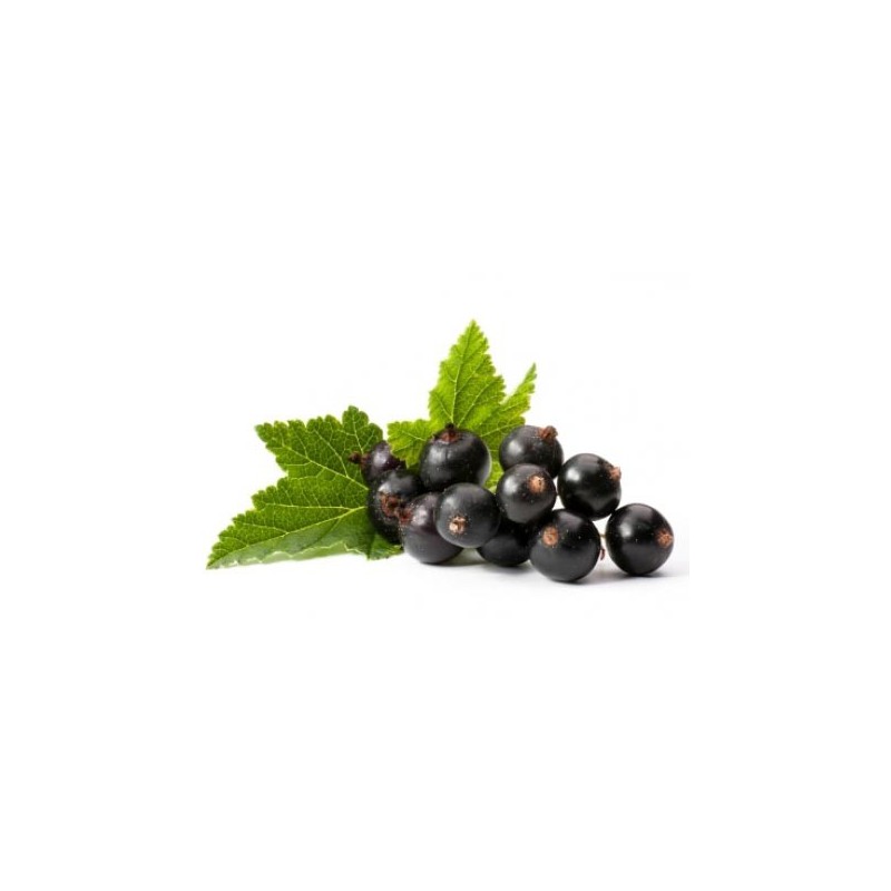 Blackcurrant 100ml ZERO