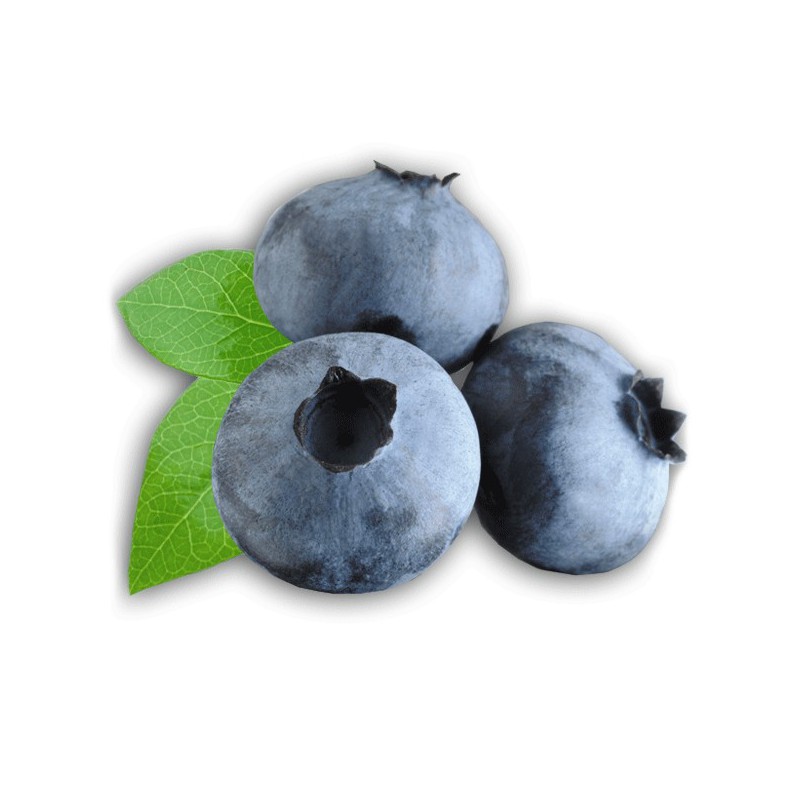 Blueberry 100ml ZERO