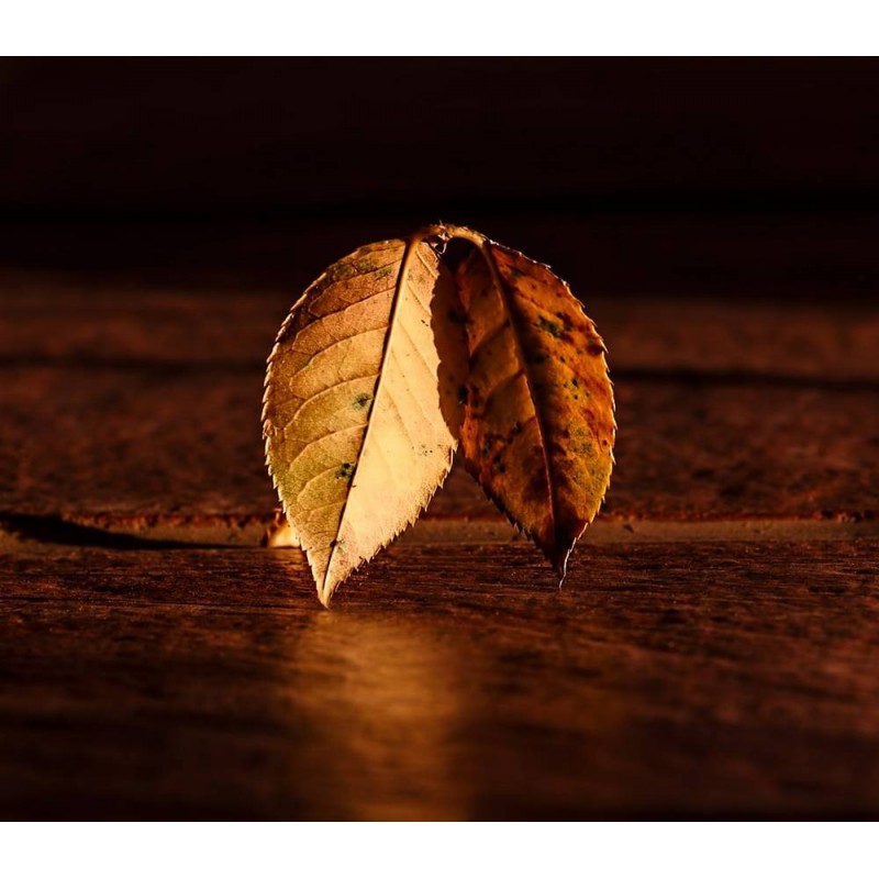 Sweet Leaf Shake n Vape 90ml