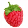 Raspberry 100ml ZERO