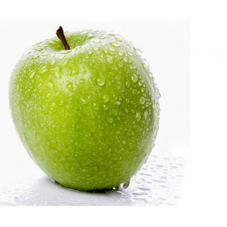 Apple Menthol 10ml ZERO