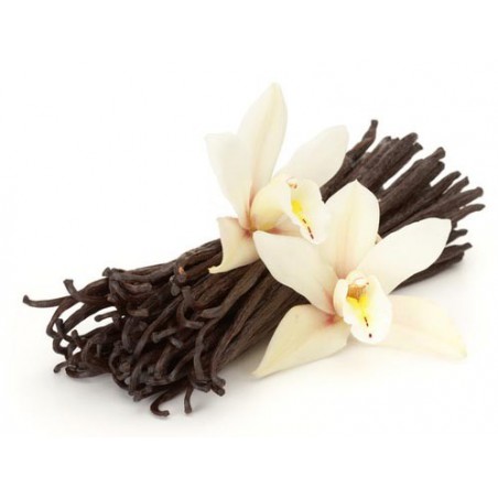 Madagascar Vanilla 100ml ZERO