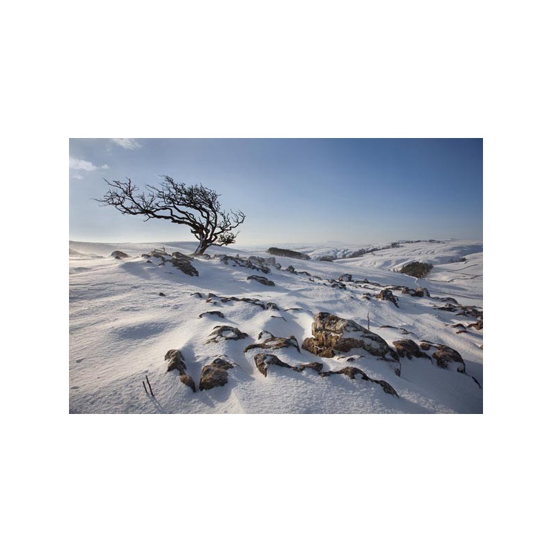 Cool Moors 100ml ZERO