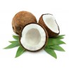 Coconut 10ml ZERO