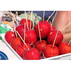 Toffee Apple Concentrate