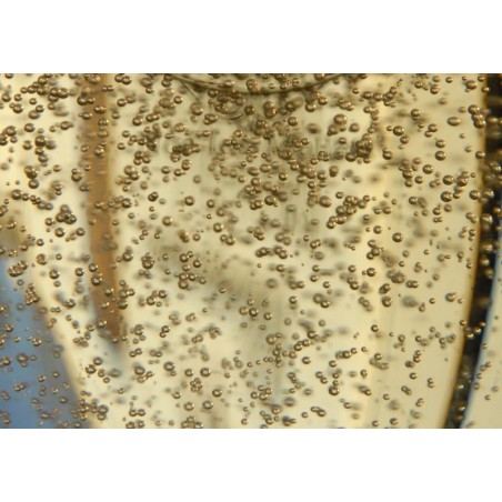 Champus Fresh 30ml ZERO