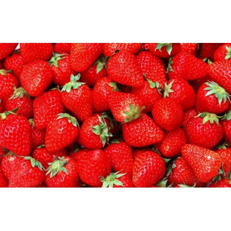 Strawberry 10ml ZERO