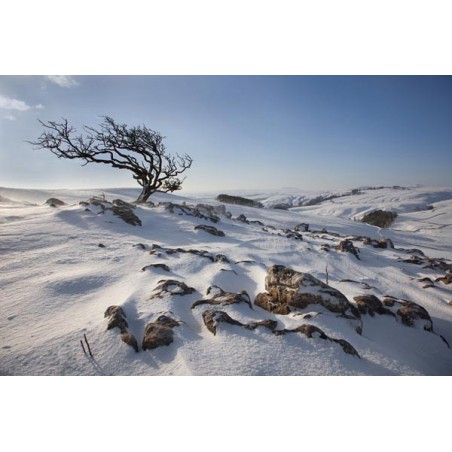 Cool Moors 10ml ZERO